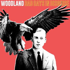 .RCN 234 CD Rezi 60S / 70S / GARAGE: WOODLAND - BAD DAYS IN DISGUISE