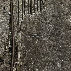 ONLINEREZI FEBRUAR 2026: FJØRT - BELLE ÉPOQUE (20.02.2026)